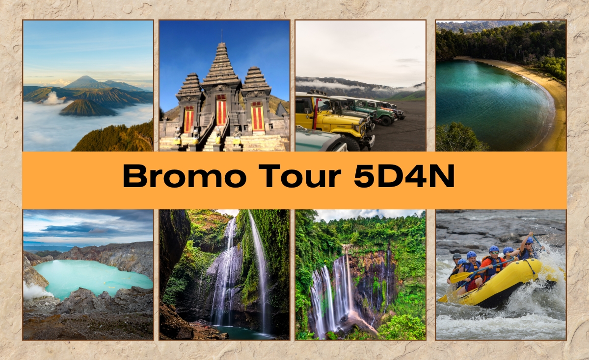 Bromo trip