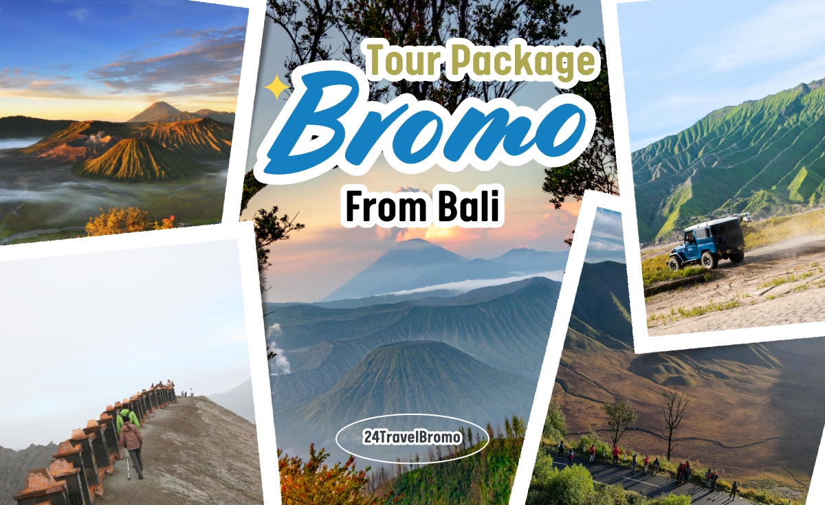 bromo tour and travel package