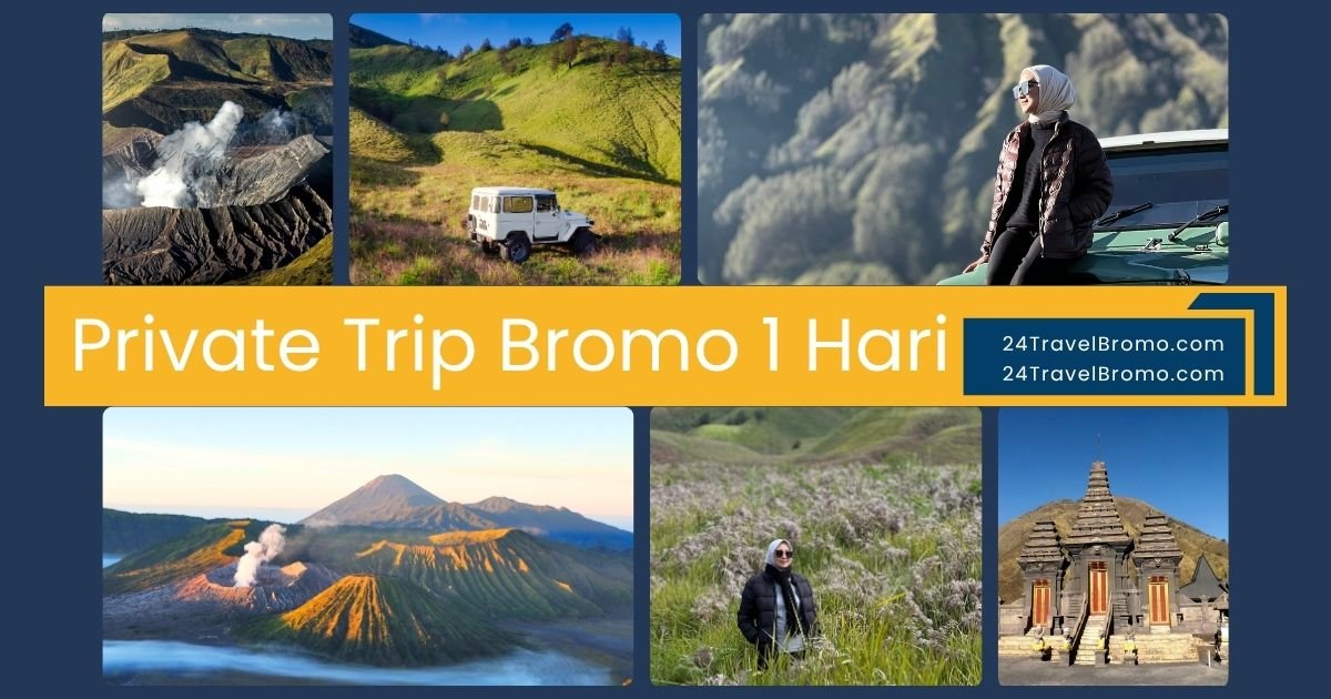 paket wisata bromo private 1 hari